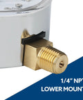 SENCTRL 0-3 psi capsule low-pressure gauge, chrome body, 2-1/2 in dial, 1/4 in NPT lower mount, side view