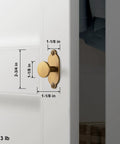 Premium Antique Brass Cabinet Knobs Paired With Elegant Oval Backplates 6 Pack on a white cabinet, featuring size dimensions.