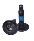 Hella Easy Install Kickass Tailgate Cap And Spoiler Trim Hardware Screws For Chevrolet Silverado And Gmc Sierra Pickup Trucks Straight Swap Replacement Bolts, black bolts with blue stripes.