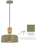 Dope Green Contemporary Pendant Light With Wood And Brass Accents Adjustable Hanging Lamp For Kitchen And Dining Room 12 Inch Shade