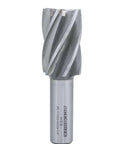 End mill, HSS, 3/4 in shank, 4- and 6-flute, Bridgeport style, Accusize