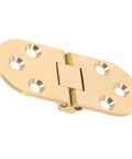 Top Tier Pack of Heavy Duty Brass Table Folding Hinges With 180 Degree Rotation For Sewing Machines Desks And Doors Super Smooth Quiet Flip Top Hardware close-up.