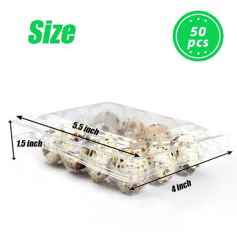 50 Pack Quail Egg Cartons With 12 Grid Trays Each For Storing Quail Pheasant And Pigeon Eggs, Clear PVC Plastic With Snap Lock Design