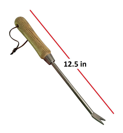 Eco Dandelion Weeder Tool with ergonomic wood handle and rust-resistant stainless steel, 12.5 in, for easy root removal.