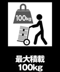 Heavy Duty Rolling Tool Carrier Dolly with capacity graphic, handles 100 kg load, mobile organizer for easy transport.