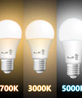 A19 LED Light Bulbs 6 Pack 14W 100W Equivalent 1600 Lumens Daylight 5000K Non Dimmable E26 Base UL Listed Energy Saving Bulbs
