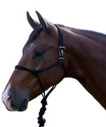Easy On Rope Halter With 10 Ft Nylon Lead No Fuss Black Horse Halter With Quick Hook Closure For Easy On Low Maintenance Nylon Build Includes Matching Lead For Training Trail And Everyday Use on horse close-up