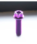Dial In Your Ride With Premium Grade 5 Titanium Torx Flange Screws M8 X 50mm purple anodized screw with flange head.