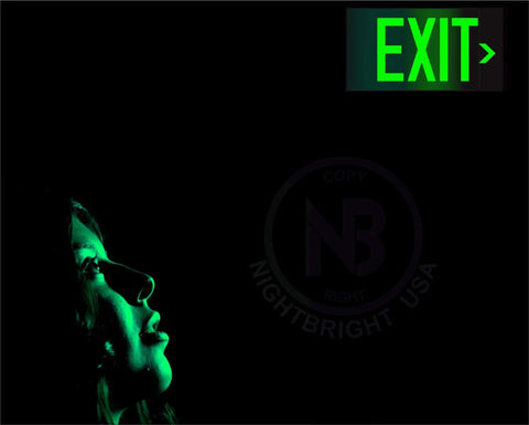 Top Shelf Photoluminescent Exit Sign With Green Directional Arrows UL 924 Legit Certified Aluminum Build Max Glow NFPA Compliant sign lit in darkness.