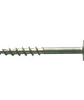 Single zinc pocket hole screw one and one half inch coarse thread maxi loc head for woodworking and cabinetry