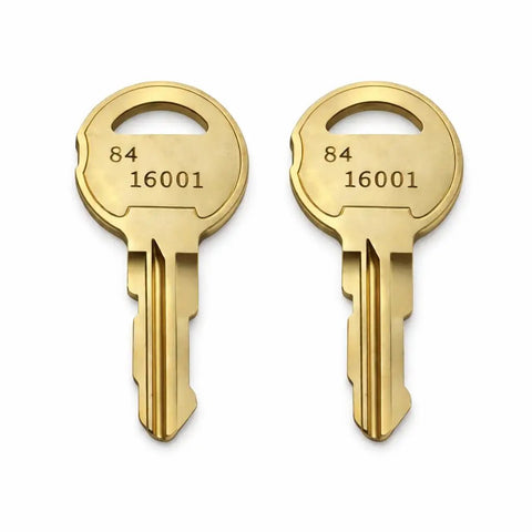 Solid 2 Pack Brass Replacement Keys Featuring Code 16001 For Dks Access Control Systems, detailed view of keys.