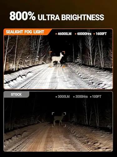 Comparison of 9005 HB3 Off Road Fog Light Bulbs 46000LM Ultra Bright 6500K Cool White With Fan showing enhanced night visibility on a snowy road