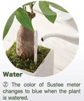 Aquameter Leave-In Soil Moisture Meter Duo For Potted Plants Green Medium Probes With Real-Time Moisture Monitor And Indicator Easy Readouts For Precise Watering Ideal For Home Gardener Package Of 2 Sensors installed in pot soil, color change visible