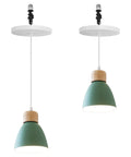 Kiven Instant Light Conversion Kit for 4/5/6inch Hole,Metal Farmhouse Lighting Recessed Can Light Conversion Kit to Pendant with E26 Screw-in Adapter for Kitchen Island Hallway Green TB1649 2Pcs, pendant lights with green shades.