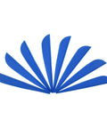 Dope 3 Inch Arrow Fletching Vanes TPU For DIY Arrows Pack Of 50 arranged in fan shape shown in blue color