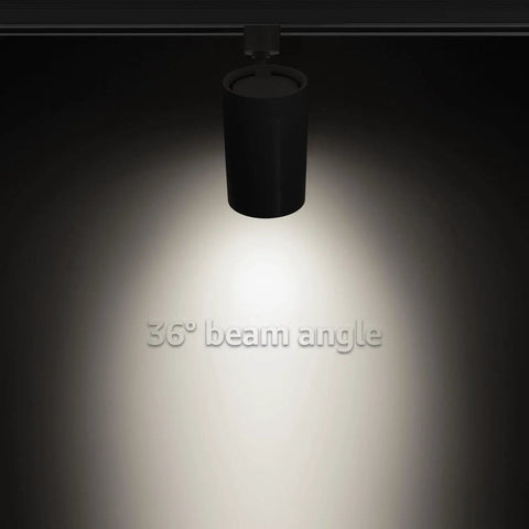 Flexible H Track Lighting Heads For Retail, 17.5W LED, Dimmable, CRI90, 4000K, ETL Listed, Matte Black Finish, 36° beam angle