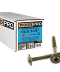 Box and two Washer Head Exterior Wood Screws 1/4-Inch By 3-1/8-Inch, Torx T25 Star Drive, PPG Golden E-Coat