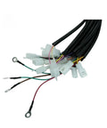 Dual Drive Wiring Harness For Four Wheel Electric Vehicles With Beast Grade Bend Resistant Cables Precision Fit Terminals And No Sweat Plug Up For Solid Hookups, showing multiple terminals and colorful wires.