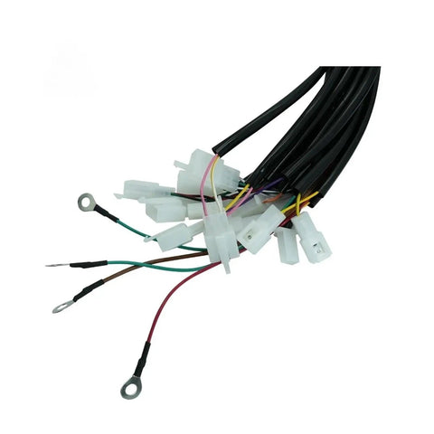 Dual Drive Wiring Harness For Four Wheel Electric Vehicles With Beast Grade Bend Resistant Cables Precision Fit Terminals And No Sweat Plug Up For Solid Hookups, showing multiple terminals and colorful wires.