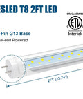 2Ft T8 LED Tube Light 12W 30W Equivalent 1680LM 6000K Ballast Bypass Dual Ended Fluorescent Bulb Replacement 24In 4 Pack