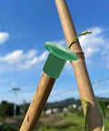 Premium Garden Cane Caps For Bamboo Sticks That Totally Block Sharp Ends And Keep Hands Safe Plus Eyes Protected From Accidents When Working In The Yard, green PVC cap on bamboo stick