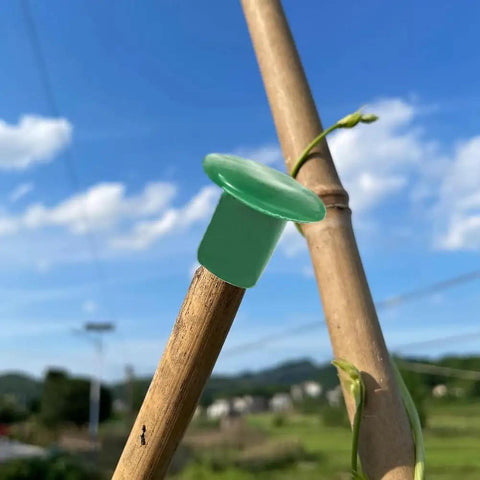 Premium Garden Cane Caps For Bamboo Sticks That Totally Block Sharp Ends And Keep Hands Safe Plus Eyes Protected From Accidents When Working In The Yard, green PVC cap on bamboo stick
