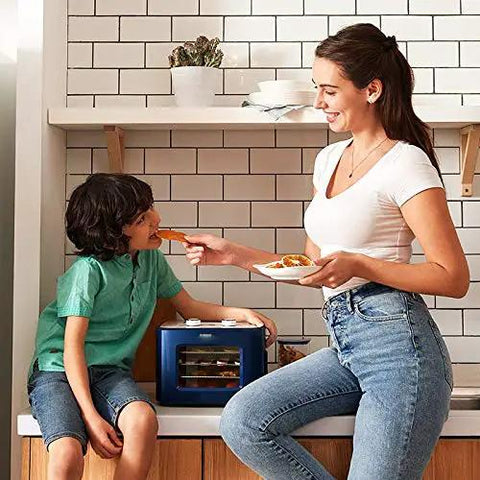 Digital Electric Food Dehydrator With Four Stackable Stainless Steel Trays And Precision Temperature Controls featuring a woman feeding a child healthy snacks.