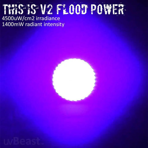 V2 Black Light UV Flashlight With High Definition Beam And Flood Effect 385-395nm Ultraviolet Torch showcasing flood power