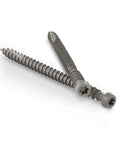 Premium Epoxy Coated Deck Screws Star Drive Fasteners For Pvc Plugging System 2 Inch, showing two screws with deep star drive design.