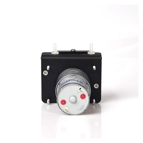 Heavy Duty 12V And 24V Adjustable Peristaltic Dosing Pump With Automatic Motor Control Offer High Precision Flow Rate And Low Noise Operation Featuring Stainless Steel Head And Easy Replaceable Silicone Or Viton Tubing For Serious Industrial And Lab