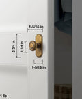 Top Shelf Antique Brass Cabinet Knobs With Killer Scalloped Backplates And Hella Durable Build For Fresh Kitchen And Bathroom Renovations Two Point Seven Five Inch Width Six Pack mounted on cabinet with dimensions shown.