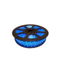 Reel of Blue 65-Foot Low Voltage LED Rope Light Kit for Indoor and Outdoor Use, 12V 2-Wire Half Inch LED Rope Light with Clips