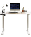 Sturdy Electric Standing Desk 55 Inch Height Adjustable Home Office Gaming Computer Table with solid steel frame and smooth lift motor
