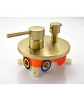 Brushed Gold shower valve with two handles, wall-mounted for shower system, compatible with 10" Rain Head, handheld option.