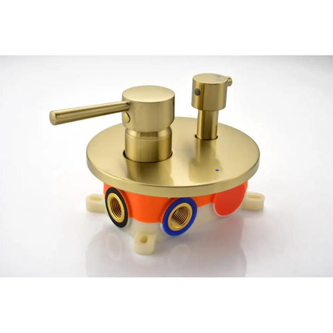 Brushed Gold shower valve with two handles, wall-mounted for shower system, compatible with 10" Rain Head, handheld option.