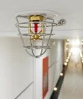 2 Pack Heavy Duty Fire Sprinkler Head Guard Cage For Standard 1/2 And 3/4 Inch NPT Upright Or Pendant Heads, ceiling mounted.