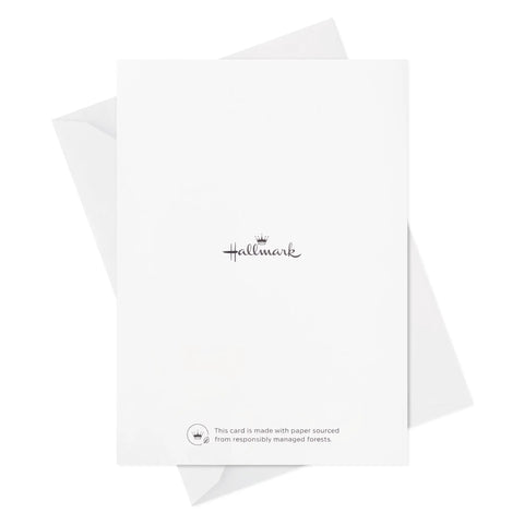Back view of Assorted Blank Greeting Cards With Painted Flower Designs, 48 Cards And Envelopes, 4 Styles