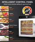 Next Level Commercial Freeze Dryer And 1000 Watt Food Dehydrator For Whipping Up Hella Crispy Homemade Snacks With Smooth Temperature Dial For Fruits Veggies Meat And Seafood control panel displaying temperature settings for various food types.