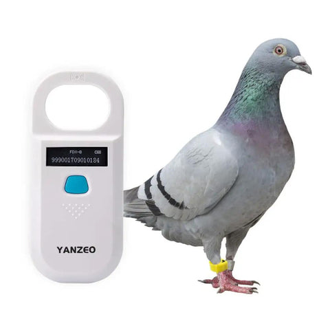 AR180 Pet Microchip Reader For Dogs And Cats, Reads 15-Digit ISO 11784/11785 FDX-B Chips, shown with a pigeon.