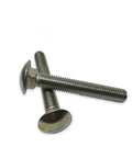 Two 10-24 Stainless Steel Carriage Bolts 5/8 Inch Long 18-8 304 Grade on a white background, close-up view.