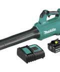 Renewed Brushless Cordless Leaf Blower with 18V LXT 4 Amp Battery and Charger, ideal for yard work, 459 CFM power.