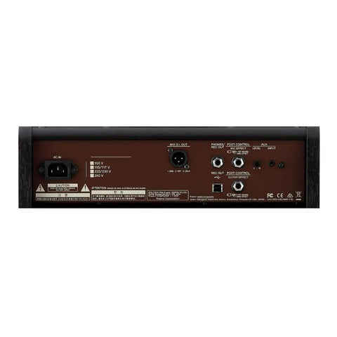 Back panel of Gig-Ready Acoustic Singer Live LT 60-Watt Dual Channel Guitar Amp with various input and output connections.