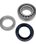 Rear Axle Bearing Oil Seal Kit Fits Nissan Titan 2004-2007, Frontier 2005-2017, Xterra 2006-2015, Replacement Axle Shaft Seals