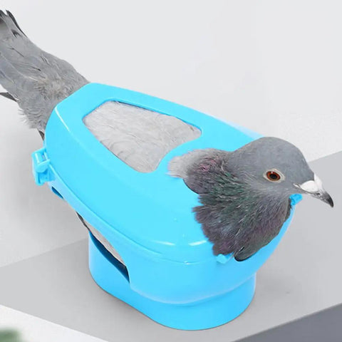 Sky-blue Pigeon Injection Holder And Fixed Frame Rack For Easy Feeding And Quick Observation with a pigeon inside
