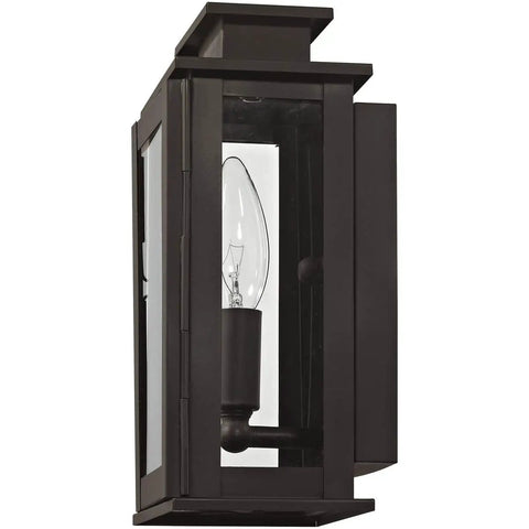 Transitional One Light Outdoor Wall Lantern in Bronze Dark Finish with Clear Glass Princeton Collection, side view
