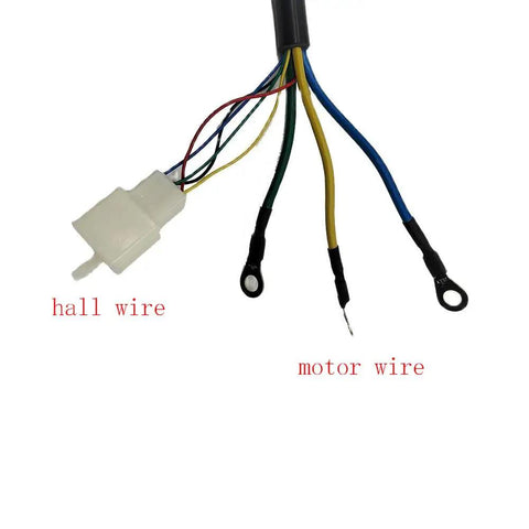 Beefy 48V 2000W Brushless Motor For Electric Scooters And Motorcycles, 4500 RPM Peak, MY1020 Type Compatible, Mid Drive Design, Supports 100 To 200kg Load, Durable Copper Windings And Alloy Shell. Hall and motor wire cable harness with connector and ring terminals.