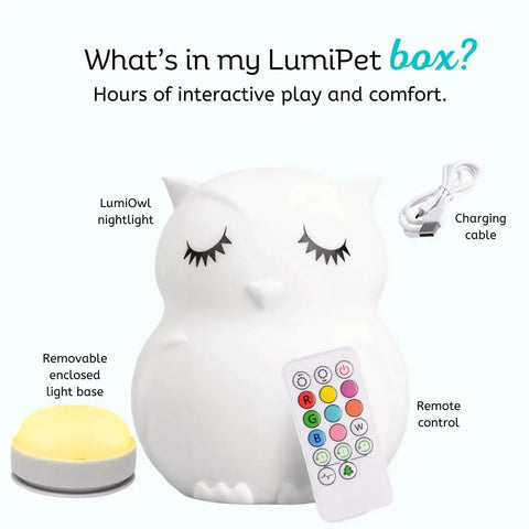 Kid Friendly Remote Control Owl Night Light For Kids, 9 Soft Color Modes, Sleep Timer, Rechargeable USB Lamp with accessories