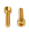 Titanium M6x20 Socket Allen Hex Bolts For Bicycle Disc Brake Caliper Adapter Screws 4 Pack Gold Grade 5 Corrosion Resistant Lightweight High Strength