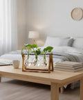 Terrarium Plant Display With Wooden Stand And Glass Bulb Vases on a table in a modern bedroom setting, 3 Bulb Vase