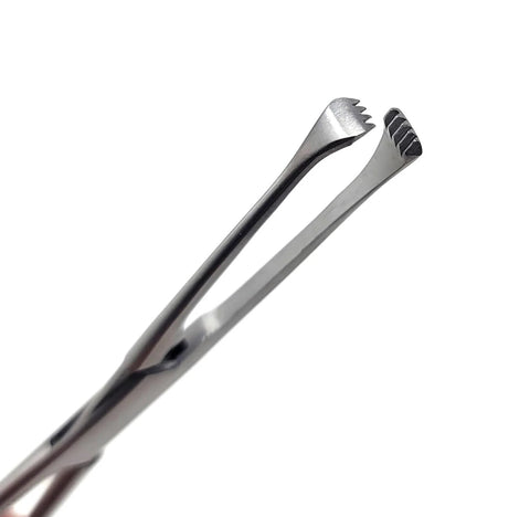 Close-up of stainless steel Allis tissue clamp forceps with 4×5 teeth, 6-inch length.